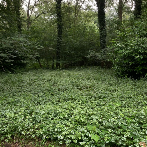 Gemeente Elbrug - Van buiten natuur - foto 4