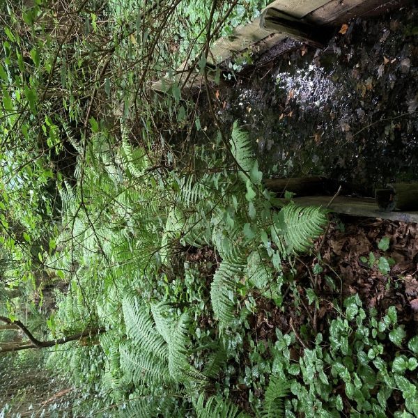 Gemeente Elbrug - Van buiten natuur - foto 5