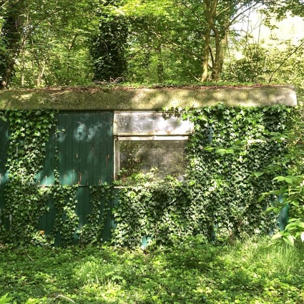 Gemeente Elbrug - Van buiten natuur - foto 6